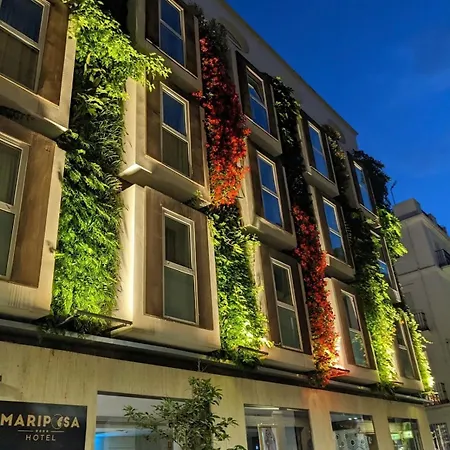Mariposa Hotel Malaga-3